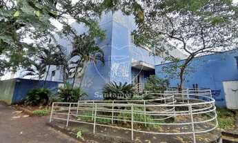 Imagem: LONDRINA - Galpão/Depósito/Armazém