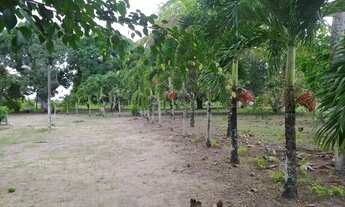 Imagem 5: Sítio, Chácara no Povoado Pastor, Boquim-SE com 9570 m2 de extensão, 3 tarefas