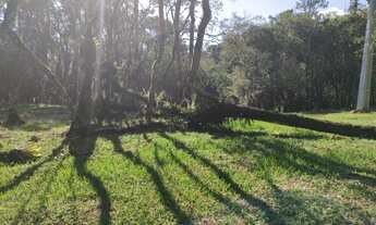 Imagem 2: Chácara 2,45 hectares à venda em Urubici-SC