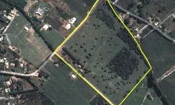 Imagem 2: Sítio em Tatuí, Sítio Dos Miranda