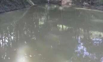 Imagem 5: Sítio Ibiuna ( 8,5 Alqueires