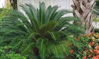 Imagem 6: Condomínio Residencial 4 Alphaville - Santana de Parnaíba