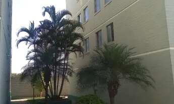 Imagem 7: Apto 02 quartos P.Industrial