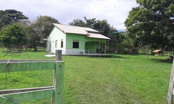 Imagem 6: Vendo Propriedade no Curral- Grande Monte - Alegre