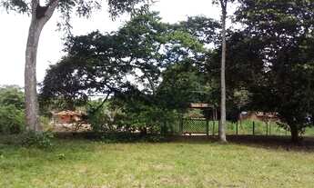 Imagem 4: Lindo Sítio prox.a castanhal