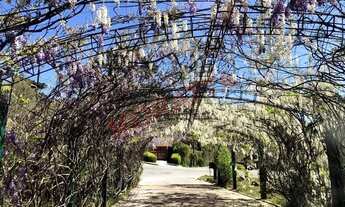 Imagem 6: Venda de Casa de Condomínio em São Paulo