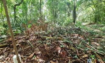 Imagem 7: Terreno à venda, 750 m² pertinho da praia e centro do Arraial Dajuda, Bahia