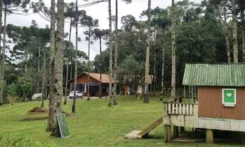 Imagem 3: Chacara em condomínio campo alegre