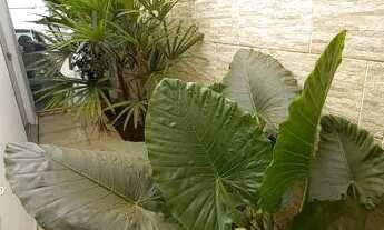 Imagem 3: Casa para venda tem 166 metros quadrados com 2 quartos em Laranjeiras - Uberlândia - MG