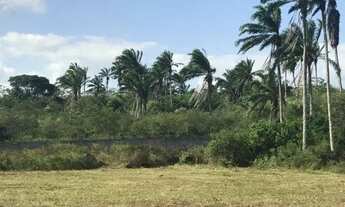 Imagem 3: Mini sítios em São Gonçalo dos Campos com 2.000m²