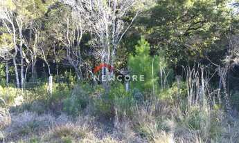 Imagem 5: Lote em Rua Abutilon - Colinas - São Francisco de Paula/RS