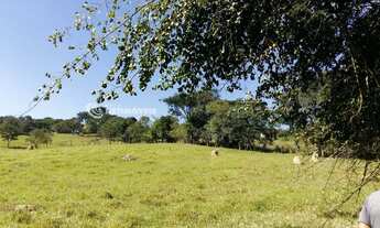 Imagem 3: Venda Lote-Área-Terreno Sagrado Coração de Jesus Bonfim