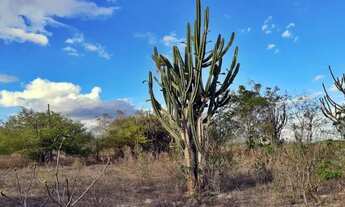 Imagem 4: Vendo 70 tarefas em Iaçu/BA
