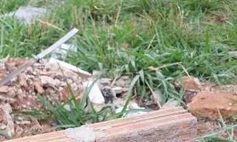 Imagem 2: Vendo terreno Laranjeiras 01 *está a 5 quadras da havan