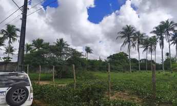 Imagem 5: Terreno na estrada da Terra dura Limoeiro 71.000m2