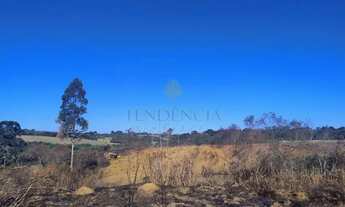 Imagem 5: Terreno à venda, 29.040 m2, SAO JOSE DOS PINHAIS - PR