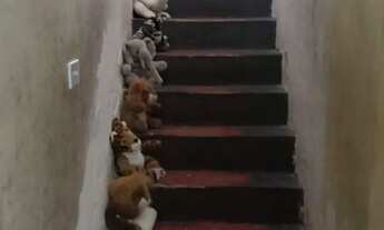 Imagem 2: Imóvel Santo André