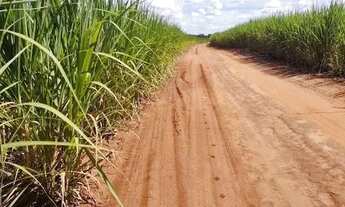 Imagem 4: Fazenda à venda, 1155790 m² por R$ 17.417.600,00 - Zona Rural - Barretos/SP