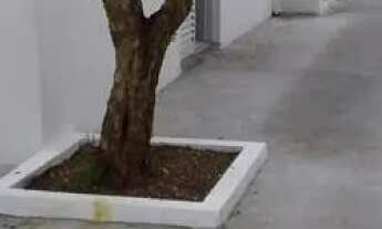 Imagem 5: AREA - PERDIZES - SP