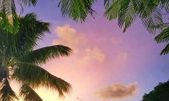 Imagem 3: Natal e réveillon em Barra do Jacuípe- Paraiso