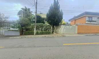 Imagem 2: Casa para locação, na Vila Estrela, em PONTA GROSSA - PR