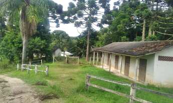 Imagem: Chácara Troca 3.100m2 em SJP na Roça Velha