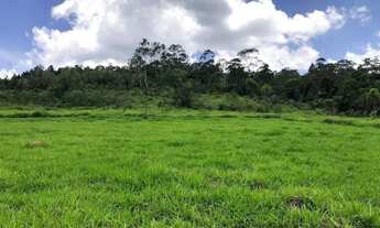 Imagem 4: Terreno de 1.000m² com Boa Localização