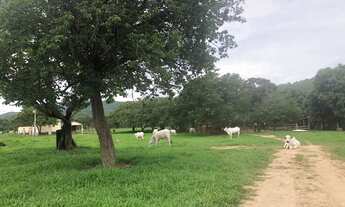 Imagem 7: FAZENDA NO TO/GO GRANDE OPORTUNIDADE