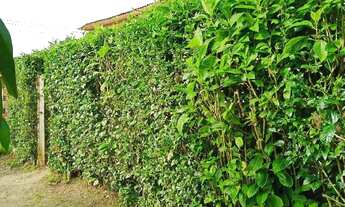 Imagem 4: Vende se está casa