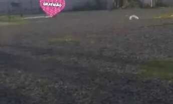 Imagem 2: Vendo casa com galpão não acabado