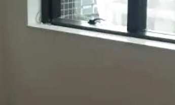 Imagem 5: CONJ. COMERCIAL - PARAÍSO - SP