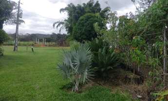 Imagem 4: Chácara ponte alta de cima, 2,6 hectares , muita água e pomar