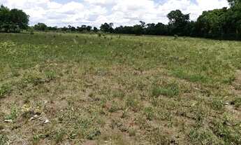 Imagem 3: Fazenda dupla aptidão com 243 hectares na região da terra vermelha 4 km do distr