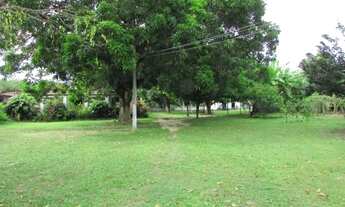 Imagem 4: Chácara com 4 dormitórios à venda, 4696 m² por R$ 700.000,00 - Pedras - Fortaleza/CE