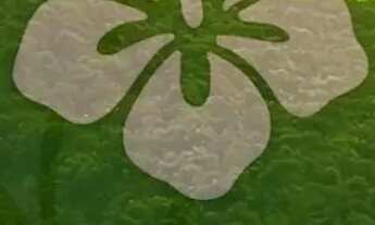 Imagem: Poucos terrenos disponíveis em localização