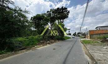 Imagem 7: Terreno medindo 1250m² à venda no bairro Palmital, Colombo, PR