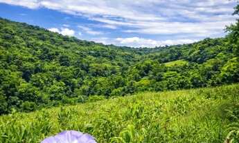 Imagem 2: Poucos terrenos disponíveis em localização privilegiada