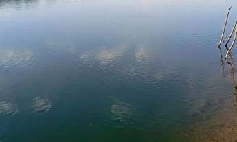 Imagem 5: Excelente oportunidade. Vendo chácara valor 680,000