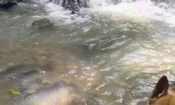 Imagem 7: Lindo citio em taquara de altinho próximo a Caruaru