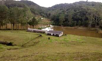 Imagem 4: Super sitio 4 hectares 477 mil reais aceita 120 de entrada
