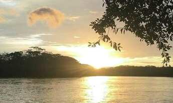 Imagem: Fazenda/Sítio/Chácara para venda tem 717