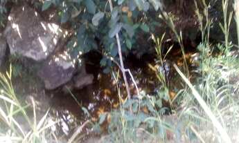 Imagem 3: 54 alqueires em Minaçu Goiás