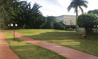 Imagem 3: APARTAMENTO - JARDIM ÍRIS - SP