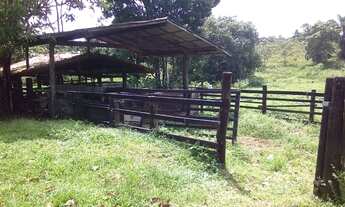 Imagem 7: Vendo terreno em Ananindeua !