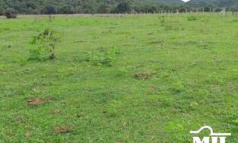 Imagem 7: Chácara 9 Alqueire (43,56 Há) Jandaia - GO