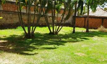 Imagem: Excelente lote ao lado do Mercado dona de