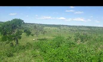 Imagem 7: Fazenda com 190 hectares no vale de monte alegre