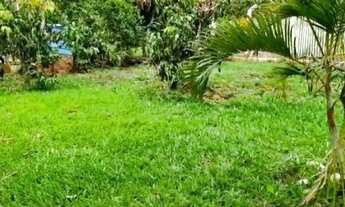 Imagem 1: Vendo chácara Chácara com venda por R$270.000