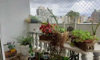 Imagem 2: Apartamento - Cambuí - Campinas