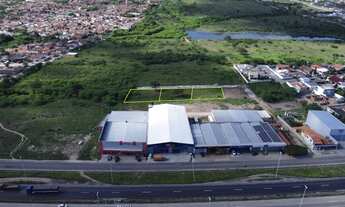 Imagem 5: Bezerros PE excelente terreno